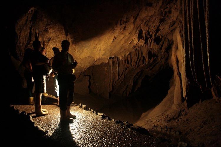 Parque Nacional Cuevas Del GuÁcharo