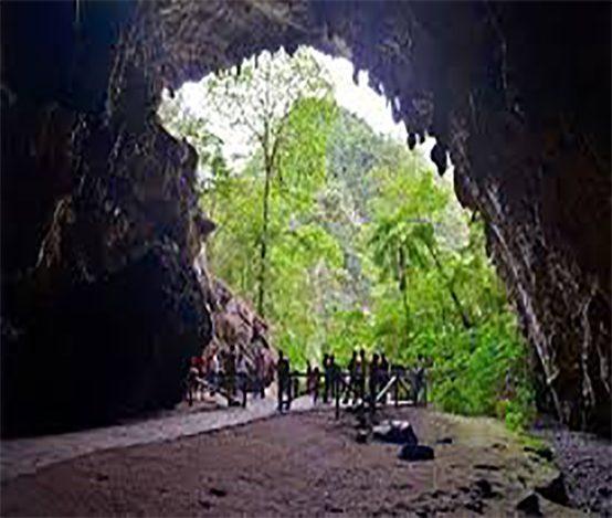 Parque Nacional Cuevas Del GuÁcharo