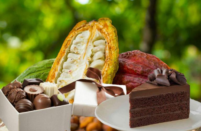 El Cacao.