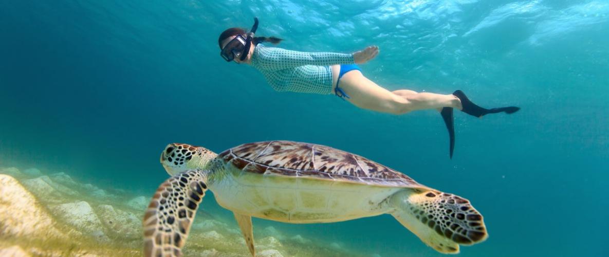 Los Roques is een archipel van Venezuela