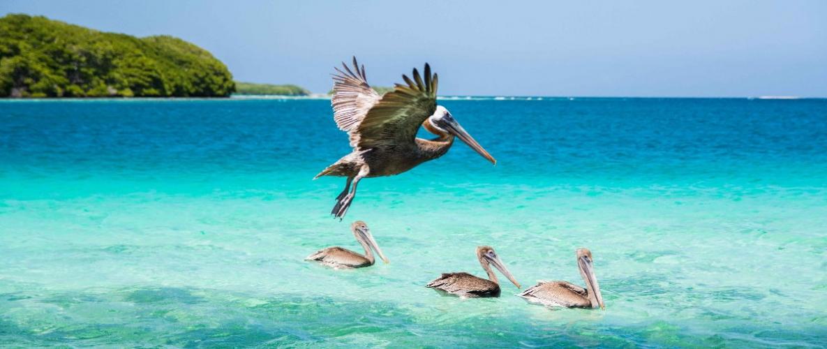 Los Roques is een archipel van Venezuela