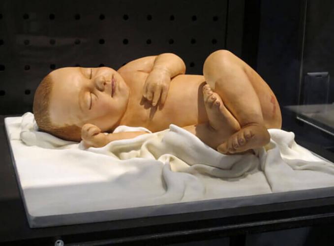 Geweldige Cakes Blijven Niet Zonder Te Zien !!!