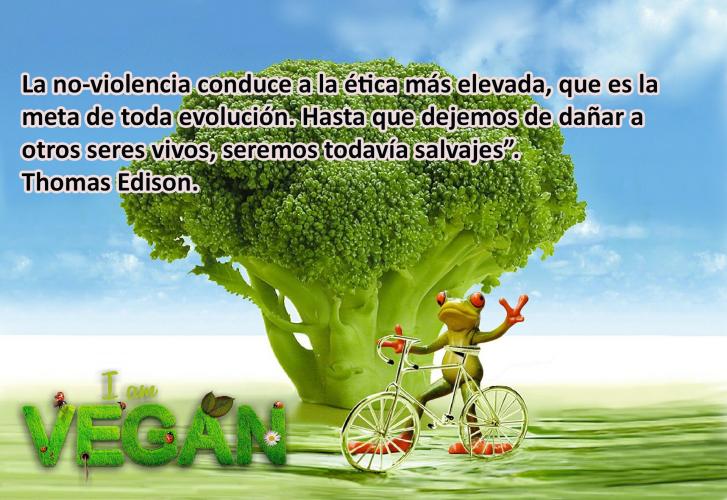 Sin hacer daño a otros