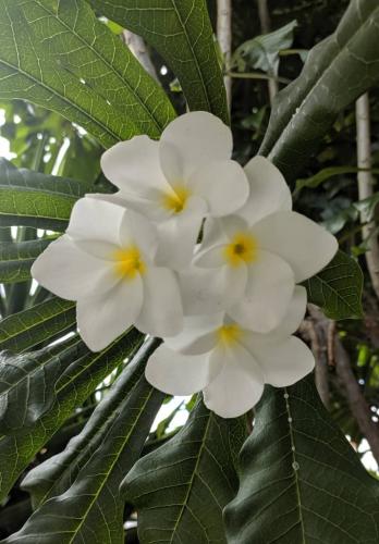 Tomada El Dia De Hoy