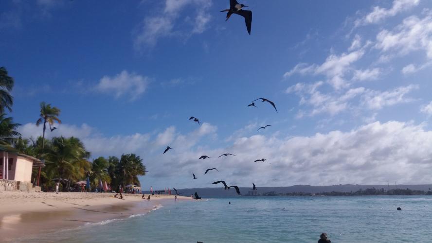 Un buen día de playa,,,