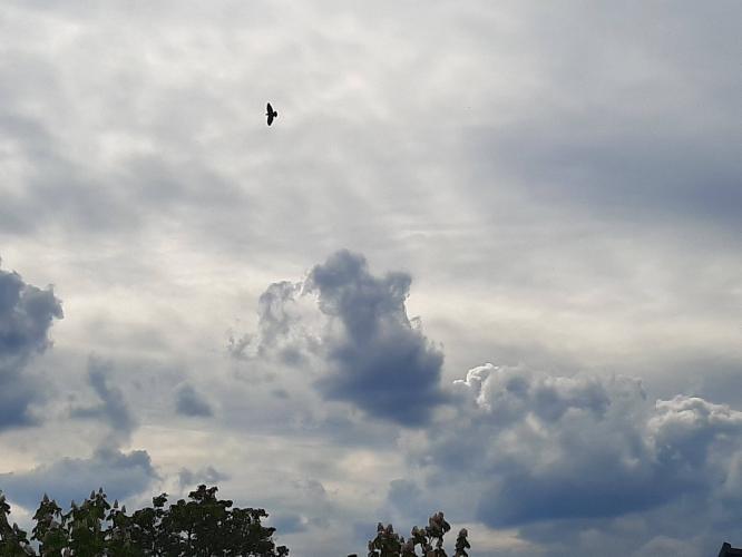 You are as free as the dreams you dare to accomplish.