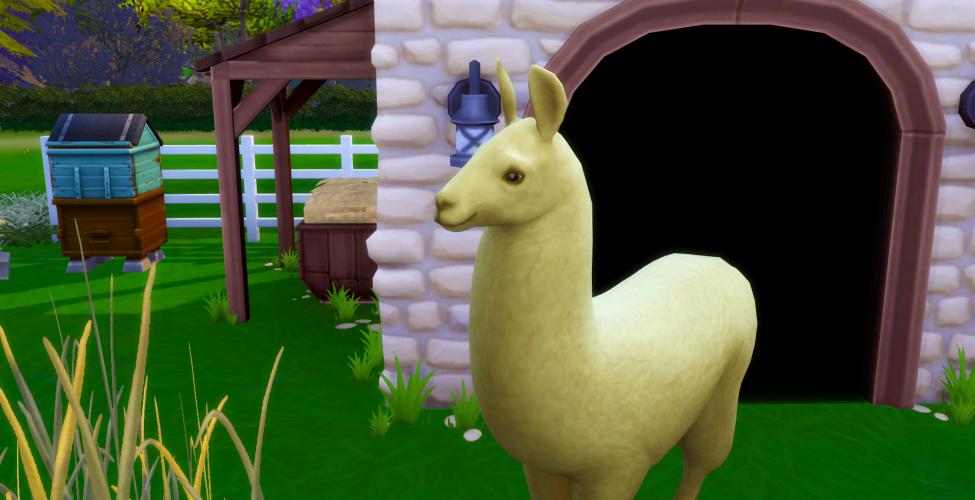 Llamas in The Sims 4! Yoors