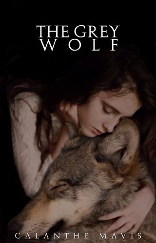 "The Grey Wolf" - a new book cover