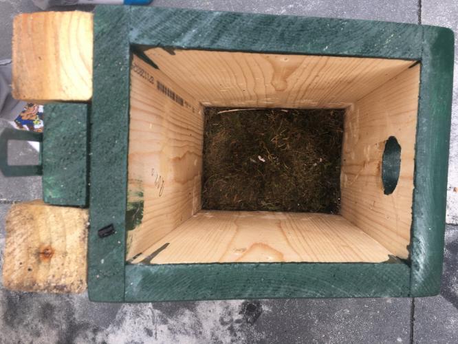 Great tits have flown out