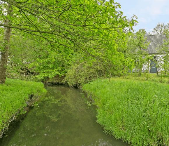 Rebuild with us a creative community Farm