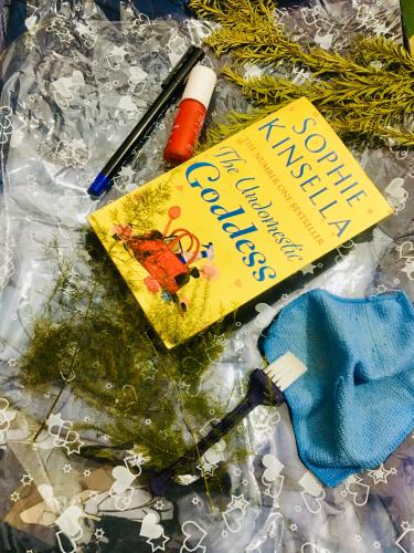 The Undomestic Goddess