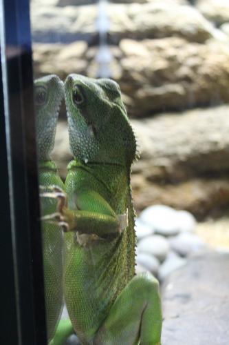 The sad lesson taught by Social Isolation 