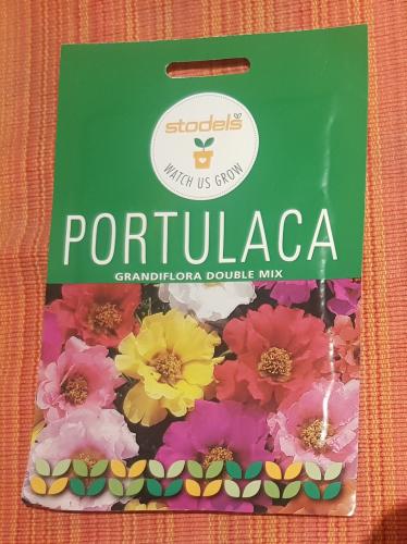 That is really pretty! Funny enough I went and buy a few new plants today and the store gave me Portulaca seeds as a gift. ☺️