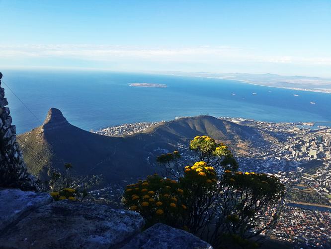 On top of Table Mountain