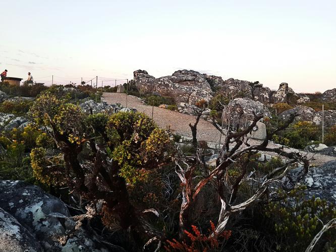On top of Table Mountain