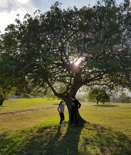 Morning walk during lockdown.
