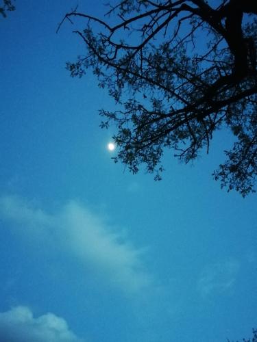 Sky and moon
