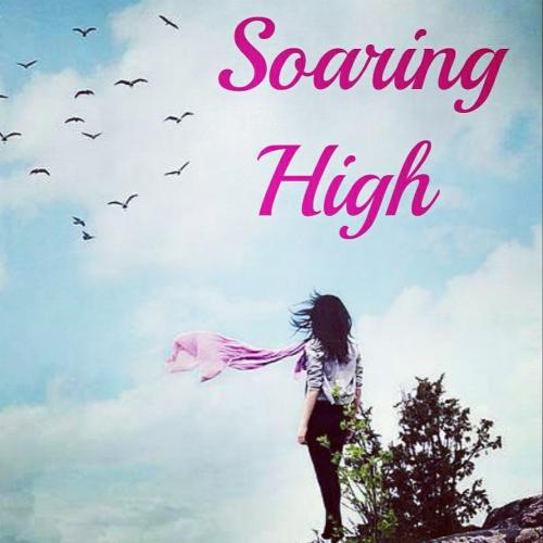 Soaring High