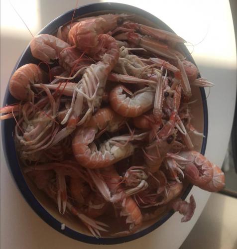 Heureux temps encore