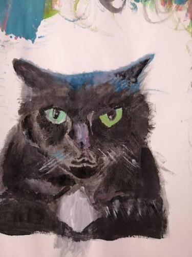 Black cat from the Internet