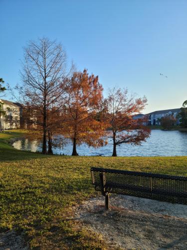 La belleza en la simplicidad 