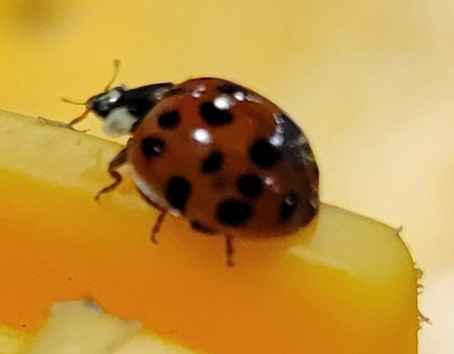 Maravillas de la naturaleza 