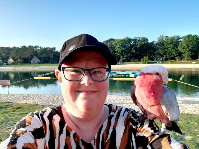 It's my birthday 🥳