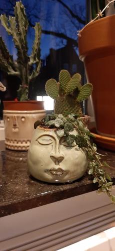 If it goes different than planned,