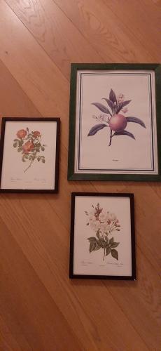 If it goes different than planned,