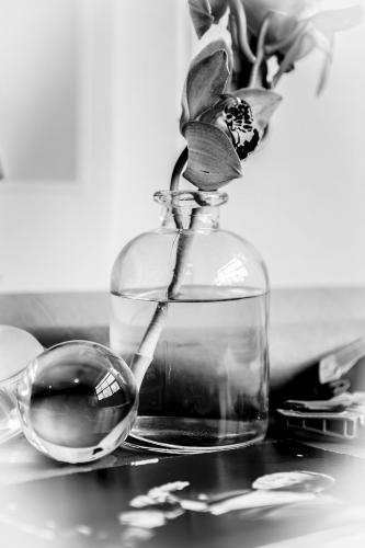 //New York interview