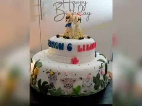 Gefeliciteerd Mason &amp; Lilou!