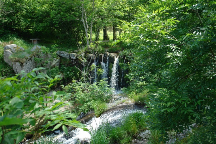 Natuur, zonlicht, water en vooral; rust...