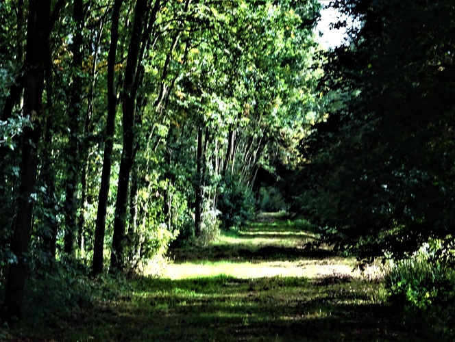 Woudrust, natuur en jezelf.