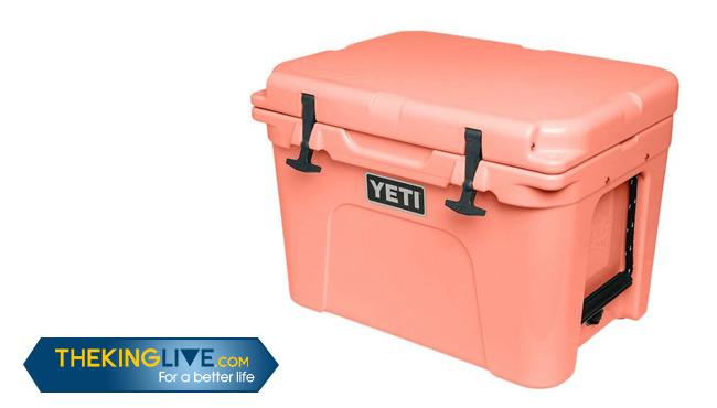 How to Pick the Best Camping Coolers on the Market: Buying Guide