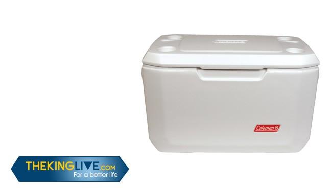 How to Pick the Best Camping Coolers on the Market: Buying Guide