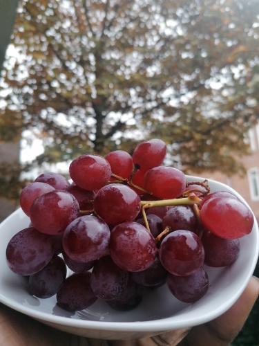 A healthy body is a healthy mind