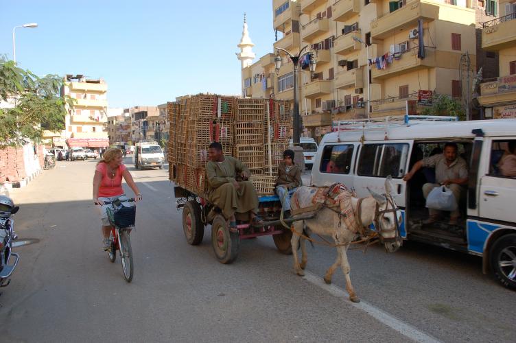 Cycling to the Valley of the Kings.