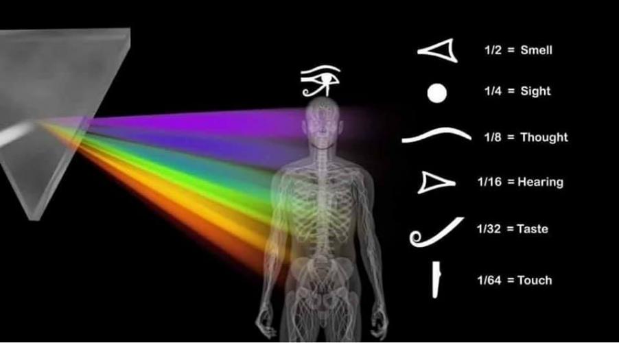 Pijnappelklier is de WiFi-knop voor de Oneindige...