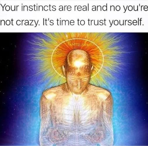 GOD spreekt :  Denken met het verstand - Waarheid uit God