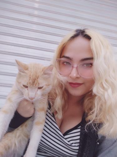 Break from work 🐱😋