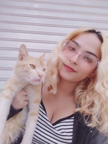 Break from work 🐱😋