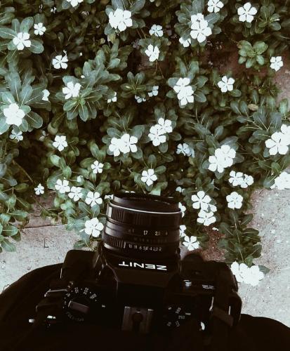 🌼El jardín de mi mejor amiga 🌼