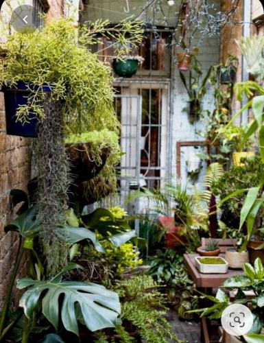 Beautiful Gardens 🌿🍀