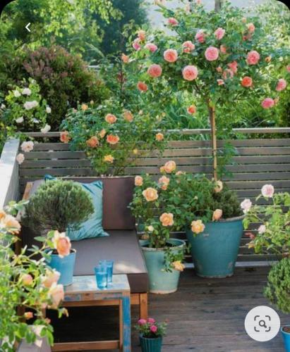 Beautiful Gardens 🌿🍀