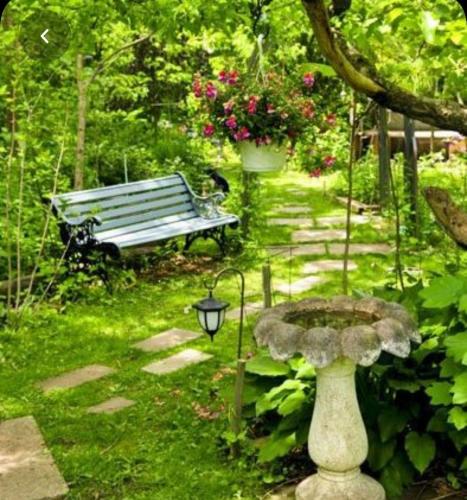 Beautiful Gardens 🌿🍀