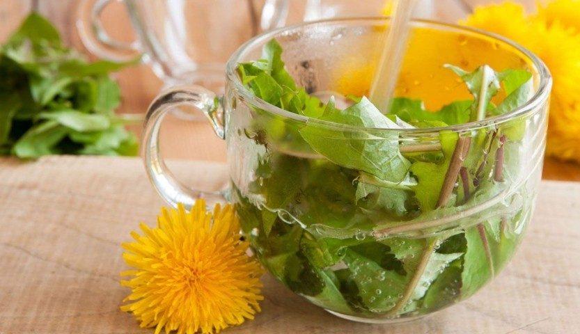 10  Plantas  Imprescindibles  En  Tu  Hogar