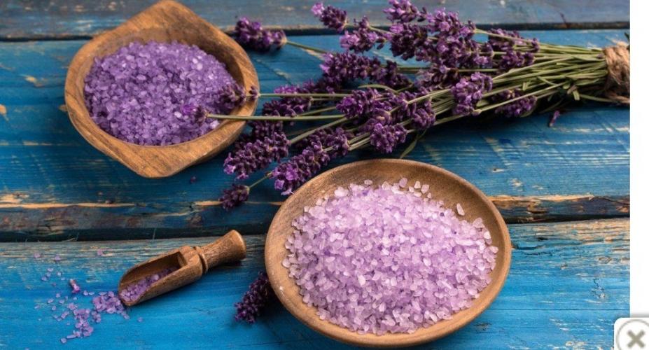 10  Plantas  Imprescindibles  En  Tu  Hogar