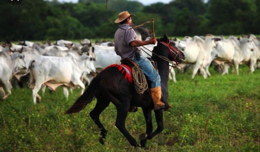 Venezuela Un PaÍs Hermoso De AmÉrica Del Sur