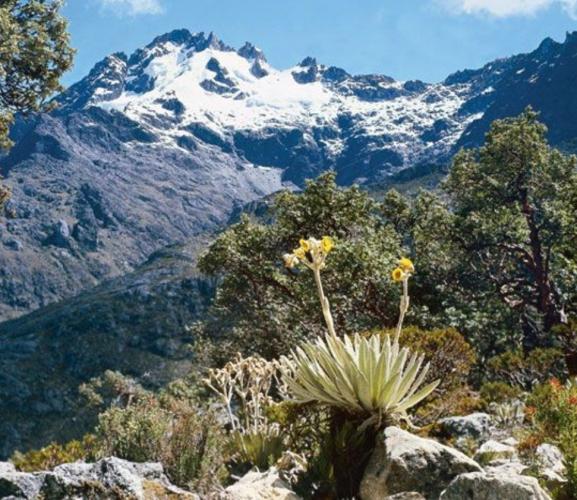 Venezuela Un PaÍs Hermoso De AmÉrica Del Sur