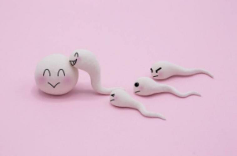 MATERNIDAD  por Reproducción Asistida